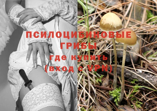 молекула духа Белокуриха