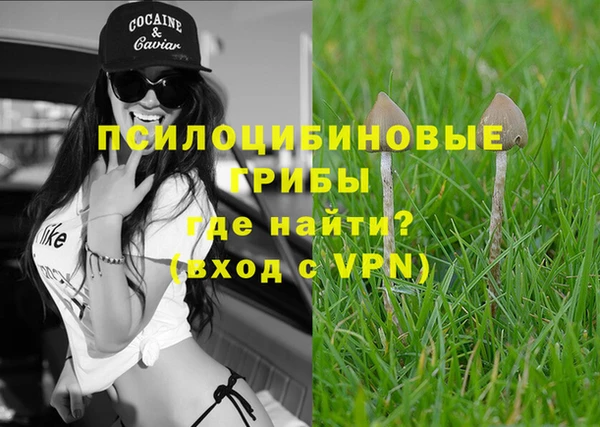 дмт Белоозёрский