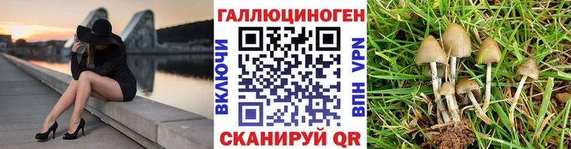 мега ТОР  купить   Павловск  Псилоцибиновые грибы Psilocybe 
